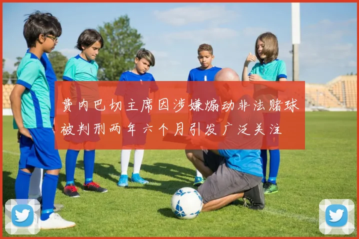 费内巴切主席因涉嫌煽动非法赌球被判刑两年六个月引发广泛关注
