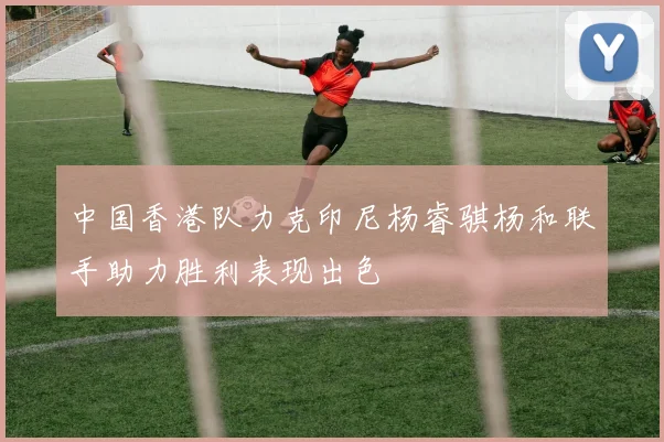中国香港队力克印尼杨睿骐杨和联手助力胜利表现出色