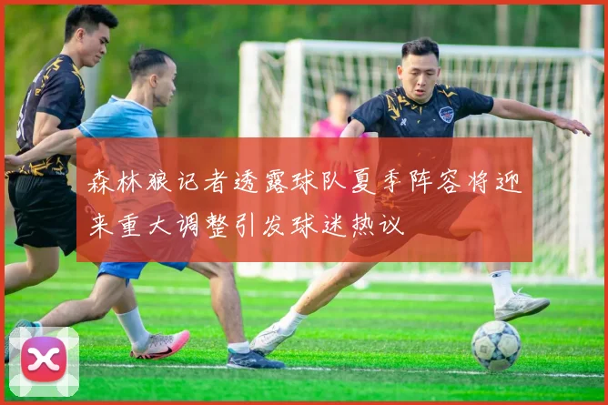 森林狼记者透露球队夏季阵容将迎来重大调整引发球迷热议
