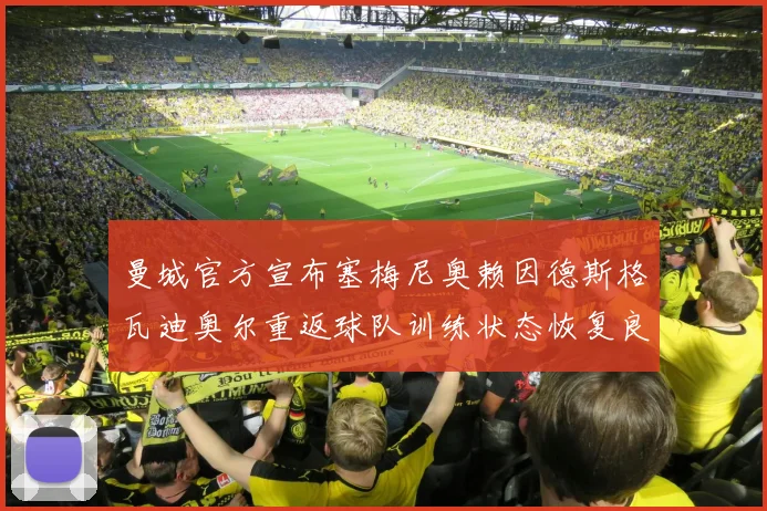 曼城官方宣布塞梅尼奥赖因德斯格瓦迪奥尔重返球队训练状态恢复良好